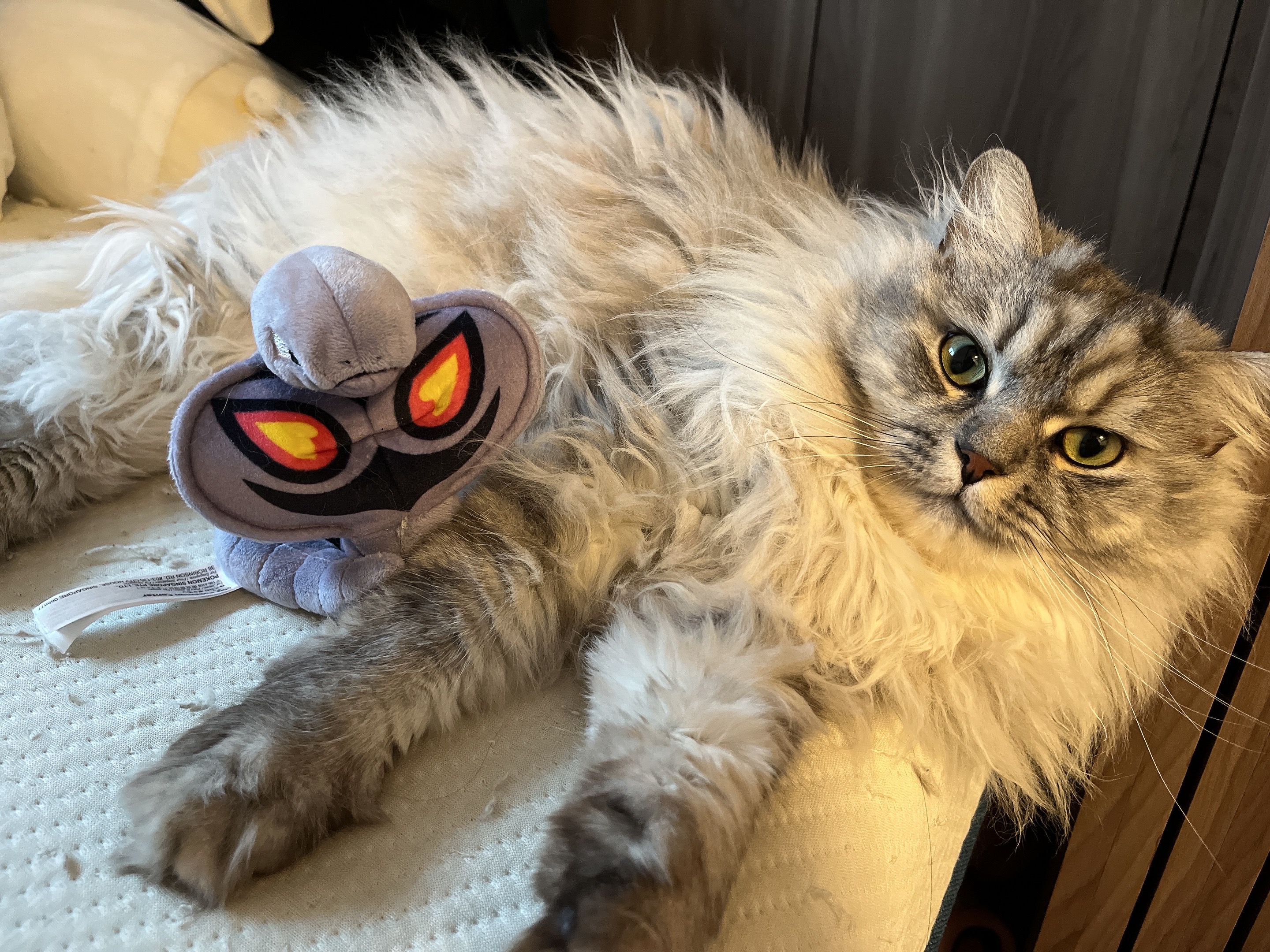 アッシュ - おもちゃと