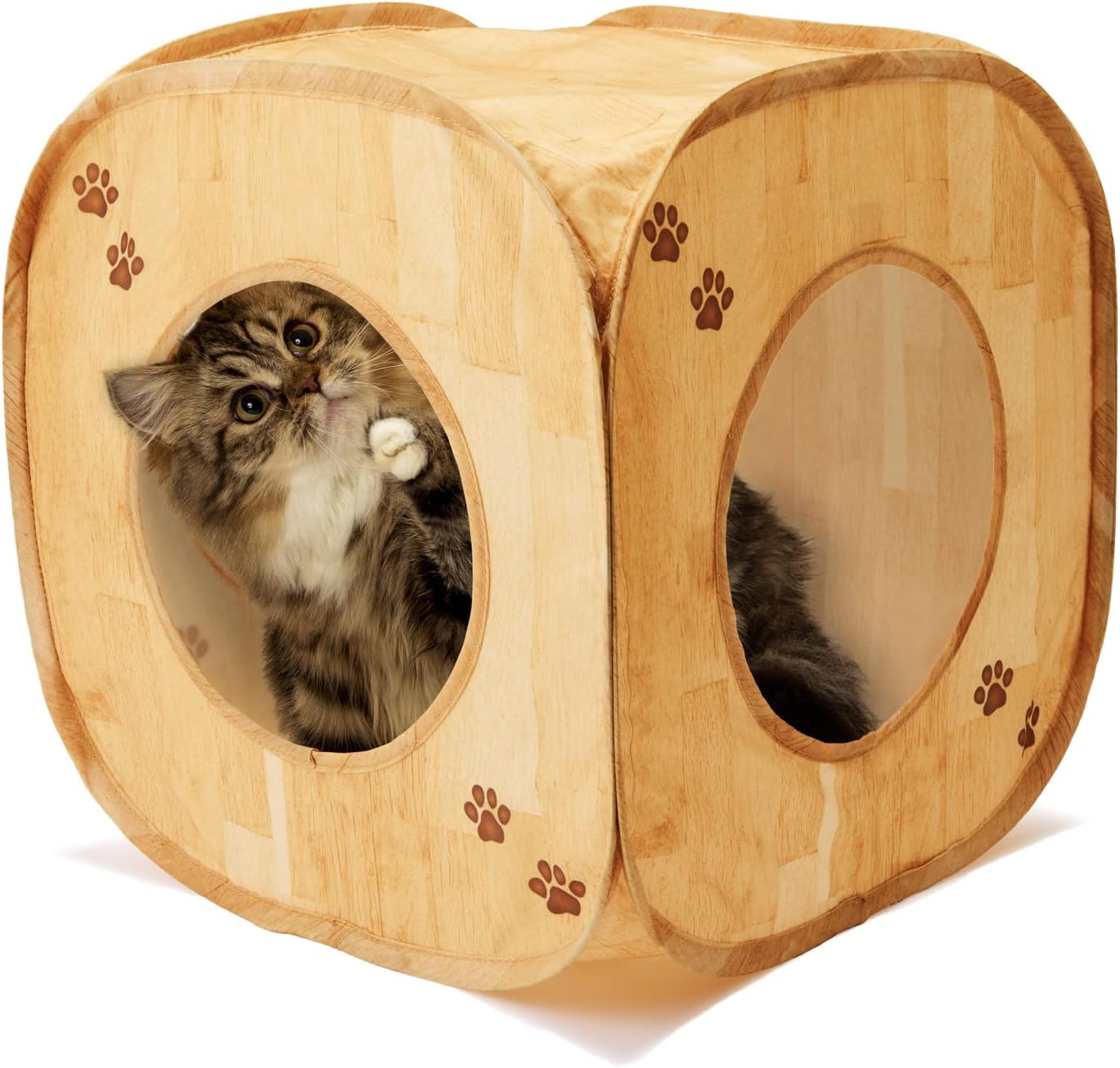 猫壱 キャットプレイキューブ